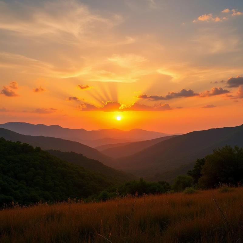 Bandipur National Park Sunset View