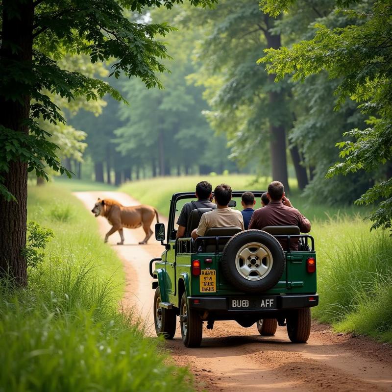 Bannerghatta National Park Safari