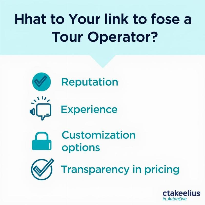 Key Factors to Consider When Choosing a Tour Operator