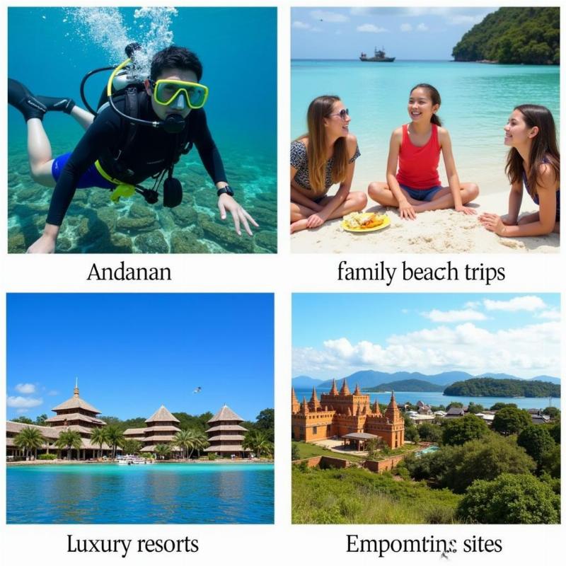 Choosing the Right Tour Operator in Andaman