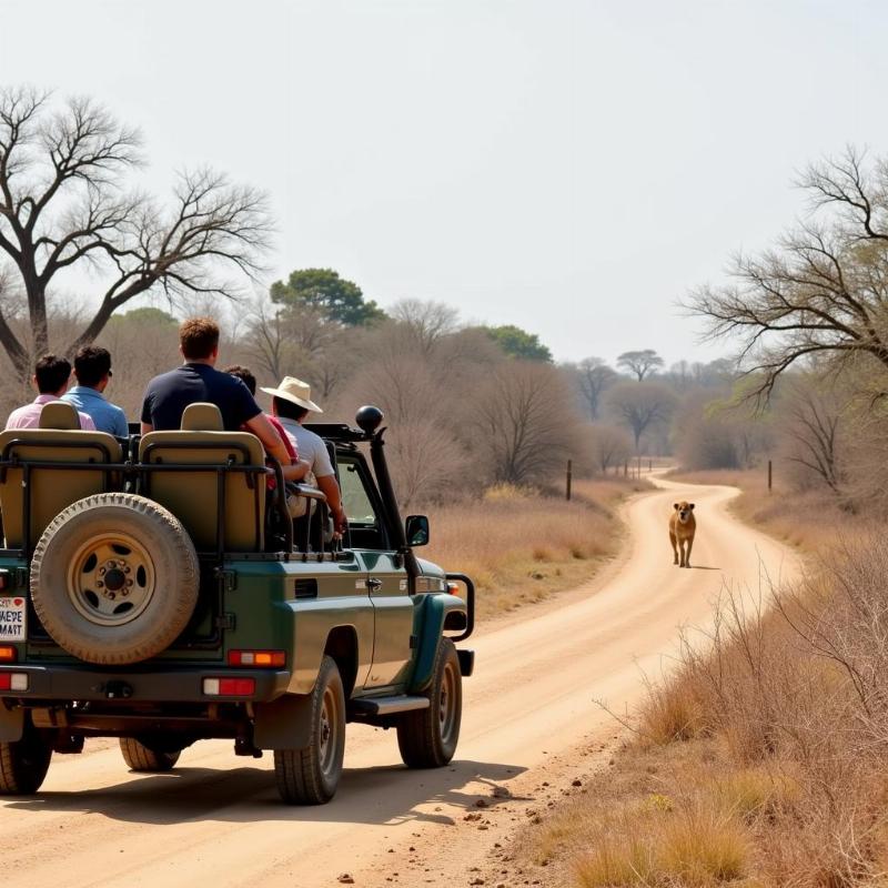 Gir National Park Jeep Safari