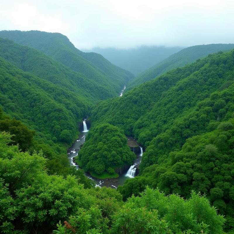 Lush Green Scenery of Goa in June during Monsoon Season