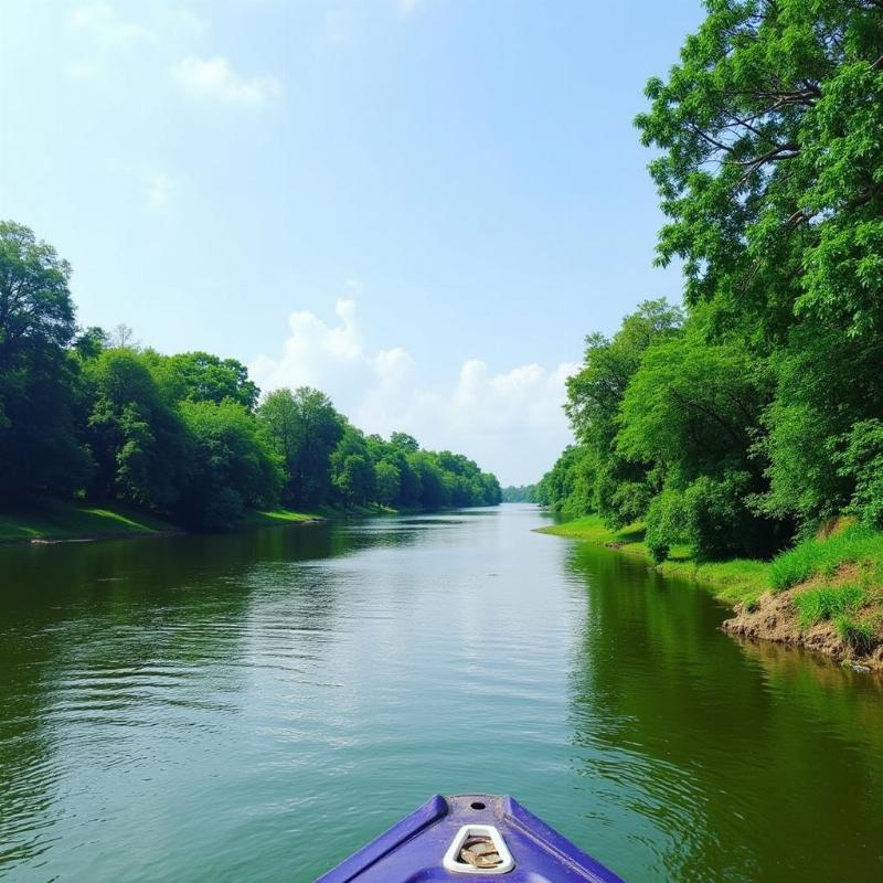 Godavari River Boat Trip in Bhadrachalam