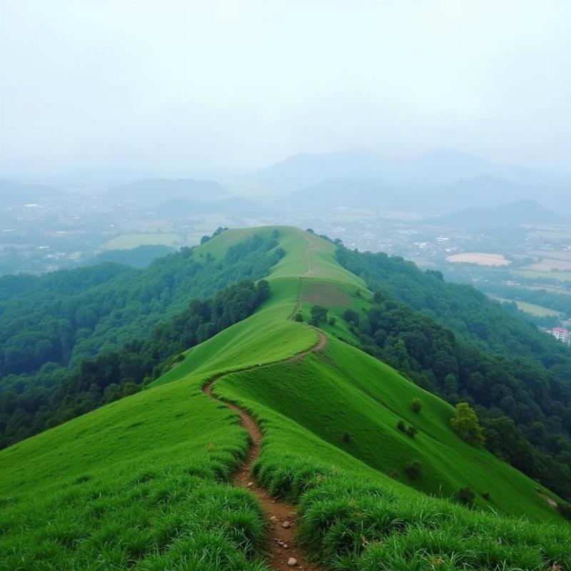 Scenic view of Horsley Hills