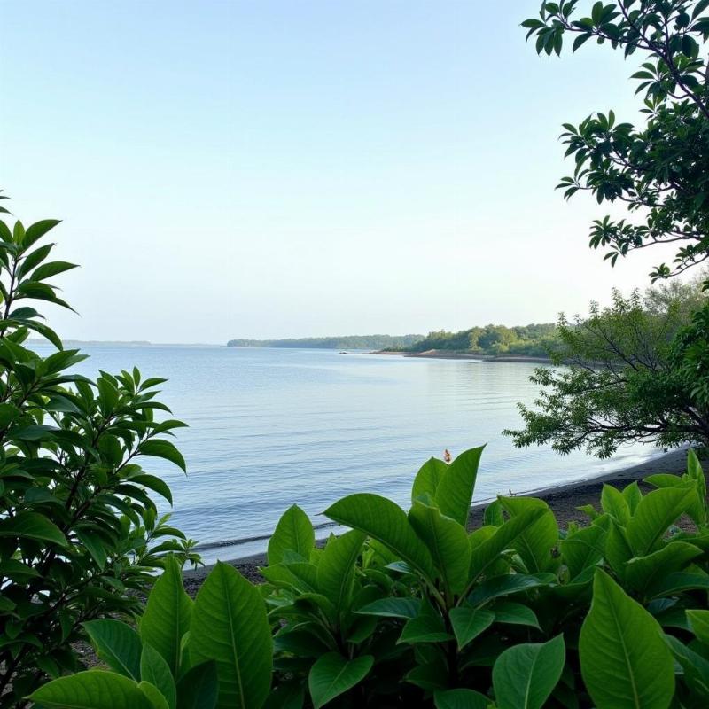 Kappil Beach with its confluence of backwaters and Arabian Sea in Kasaragod, Kerala