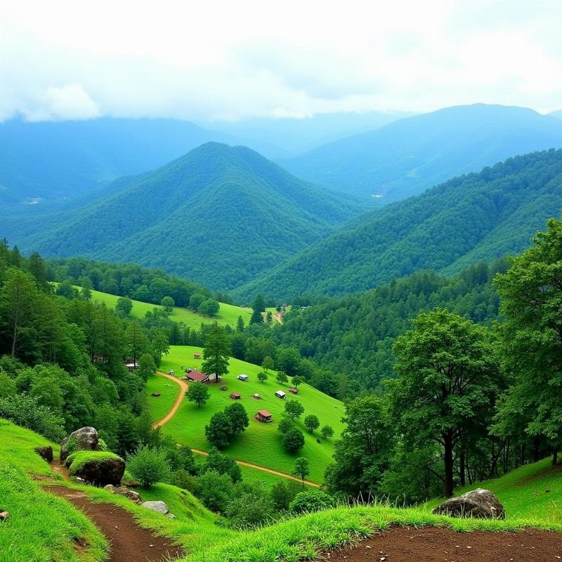 Kolli Hills Trekking Viewpoint