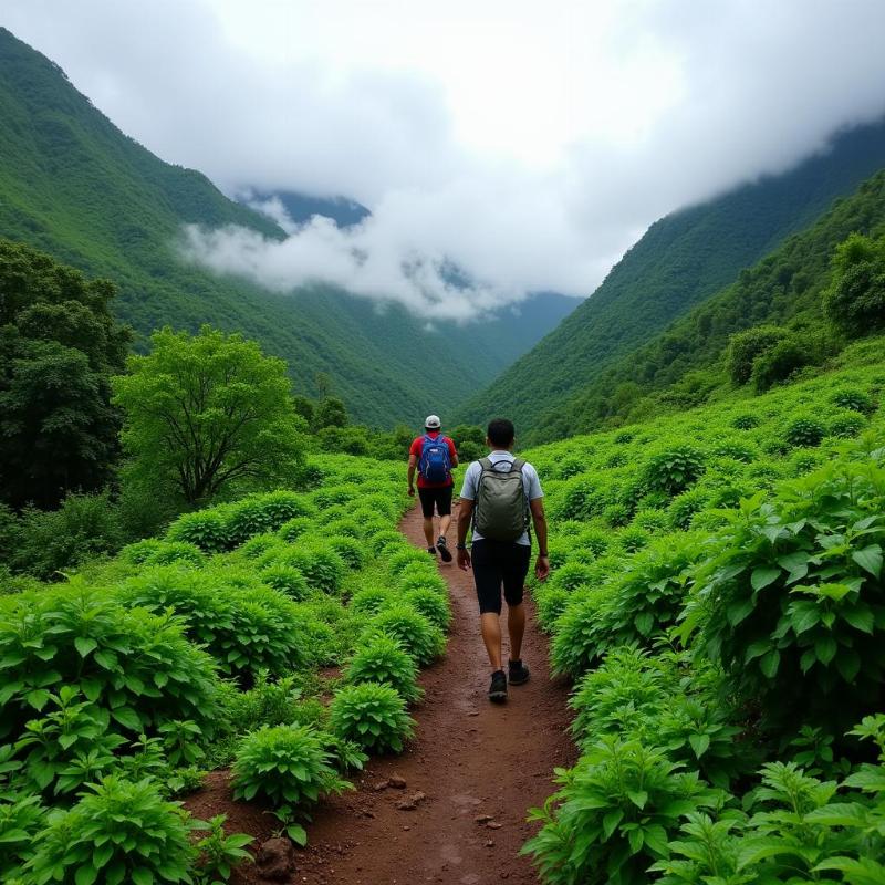 Trekking in Kudremukh during Monsoon