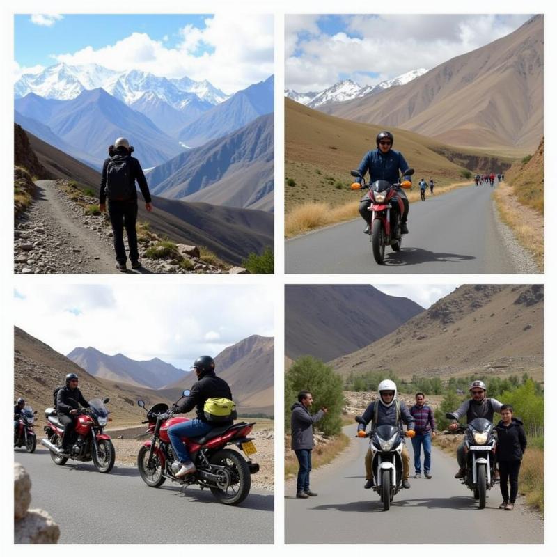 Diverse tour options in Leh Ladakh, showcasing trekking, biking, and cultural experiences.