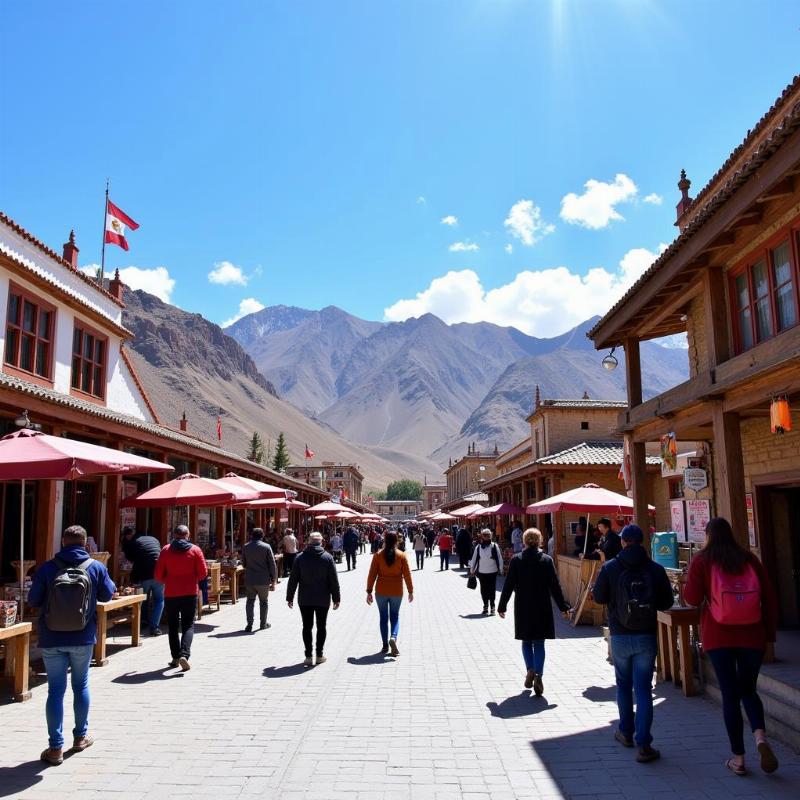 Leh Summer Travel Scene