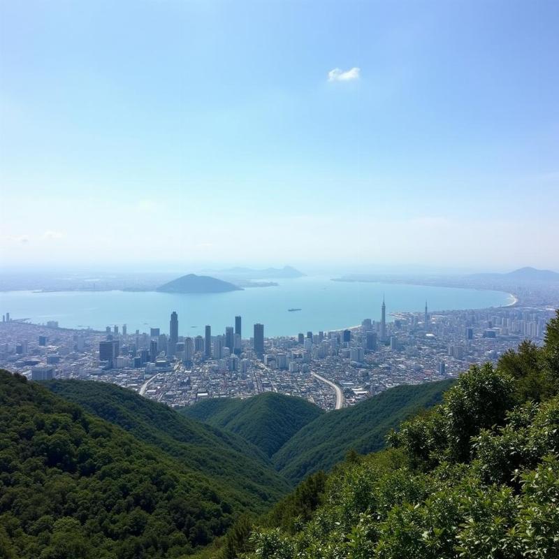 Mount Rokko Panoramic View