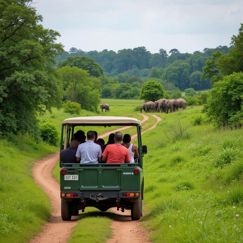 Mudumalai National Park Safari Jeep