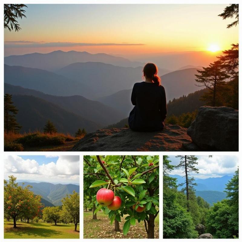 Scenic Mukteshwar: Himalayan Views and Fruit Orchards