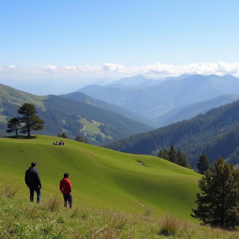 Munnar Winter Landscape