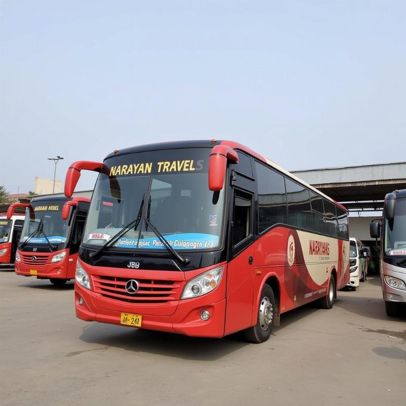 Narayan Travels bus fleet parked in a depot