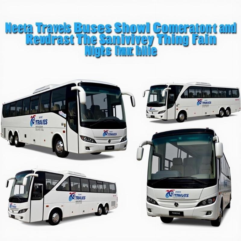 Neeta Travels Bus Fleet