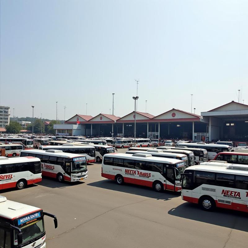 Neeta Travels Buses lined up at a terminal, showcasing their branding and fleet size.