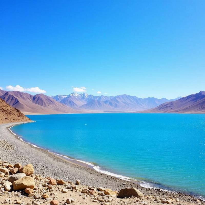 Pangong Tso Lake Ladakh