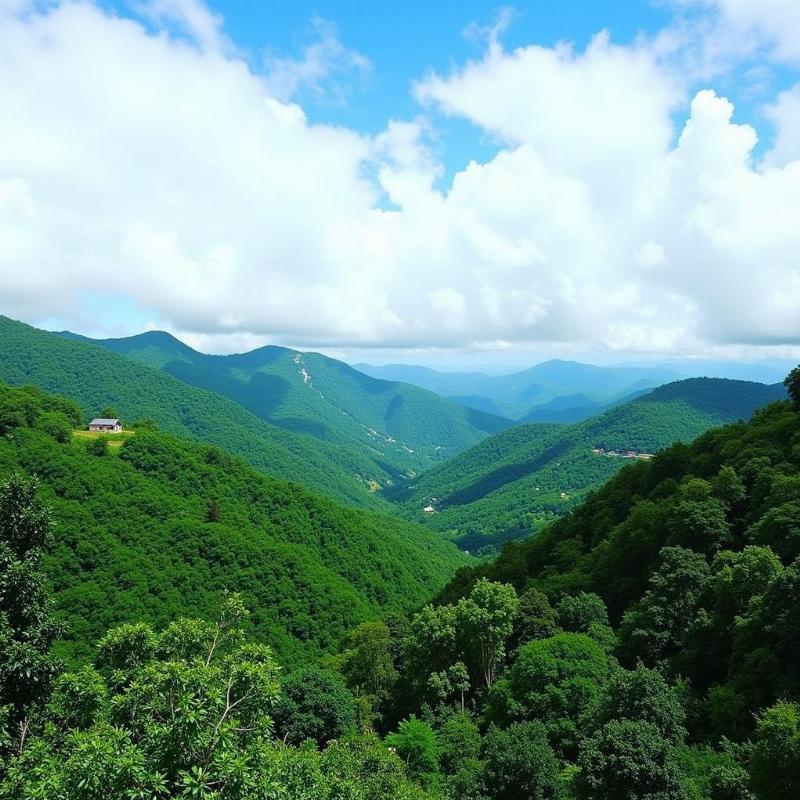 Scenic view of Gavi ecotourism destination in Pathanamthitta