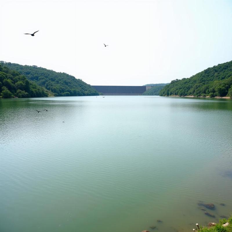 Scenic View of Poondi Reservoir