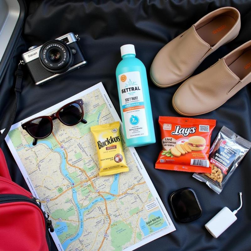 Road trip from Hyderabad: Packing essentials for a comfortable journey.