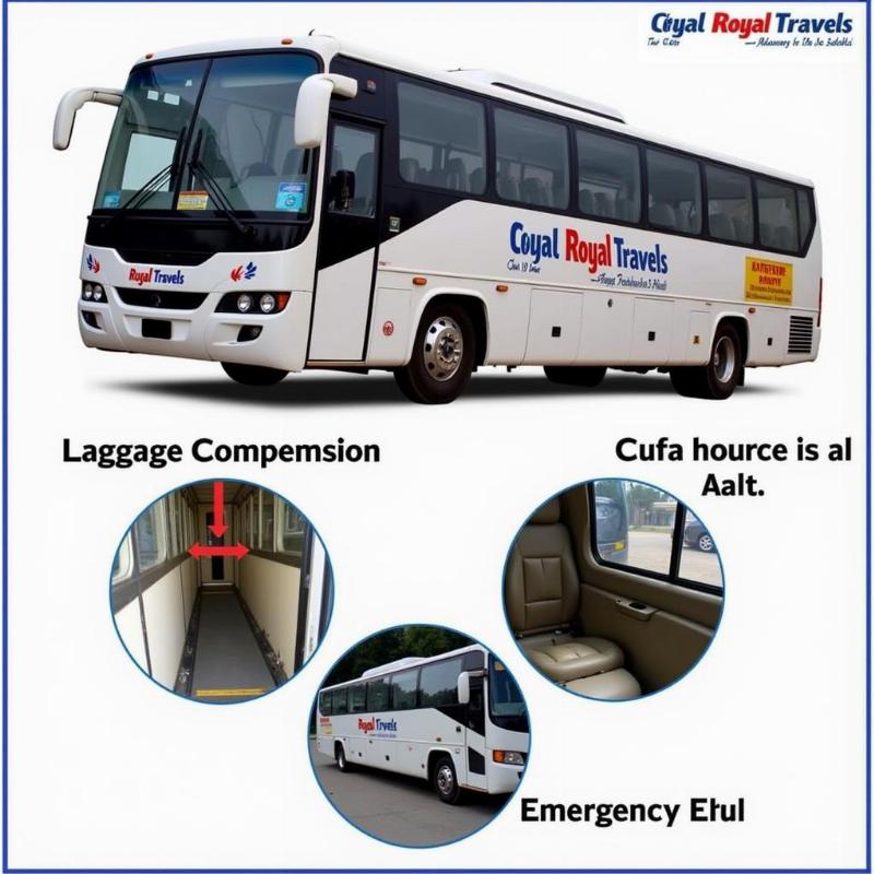 Royal Travels Bus Exterior Amenities