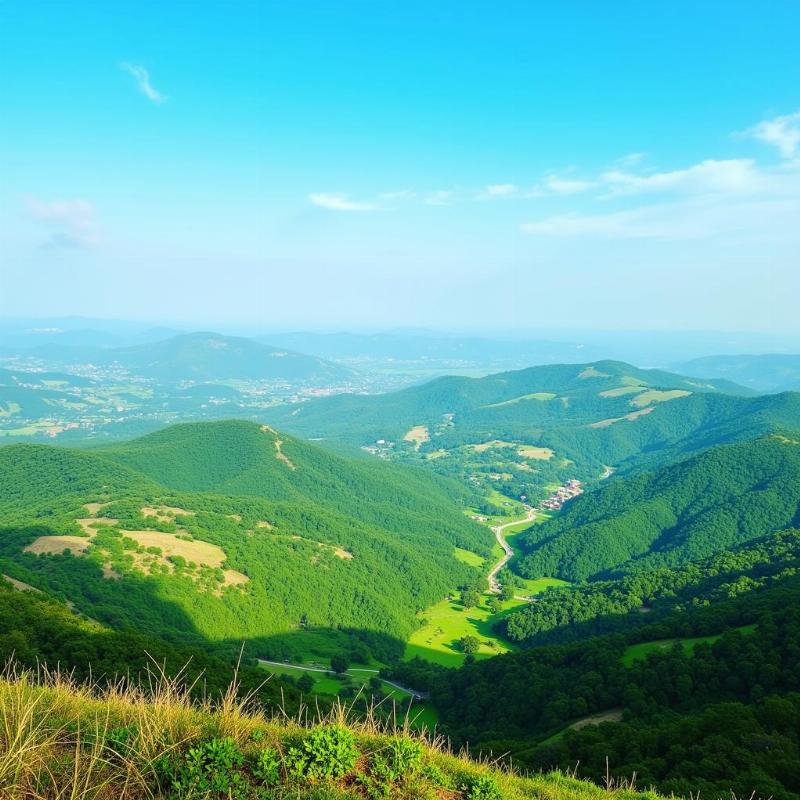 Scenic Viewpoint near Silvassa