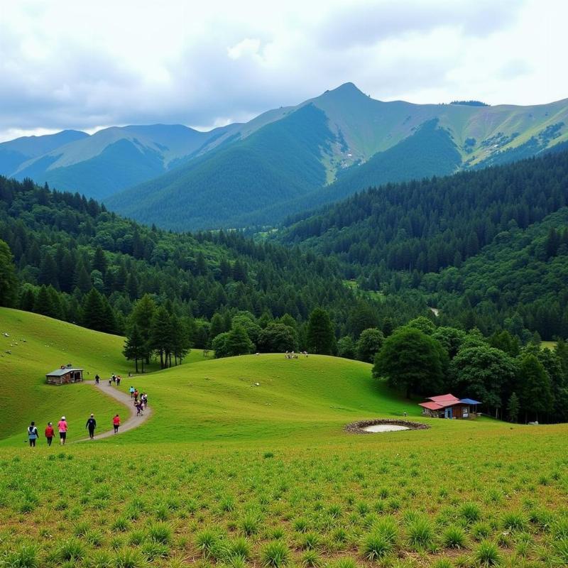 Silent Valley National Park, Palakkad