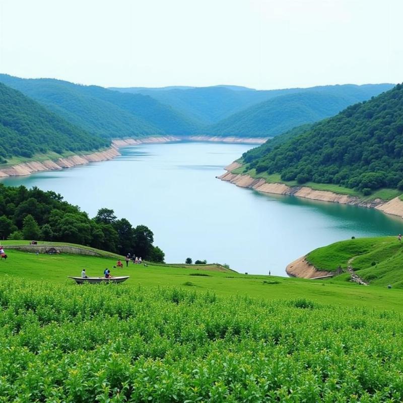 Singur Dam Sangareddy Telangana India