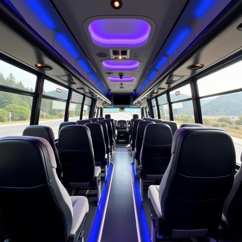 Modern and Comfortable SRS Travels Bus