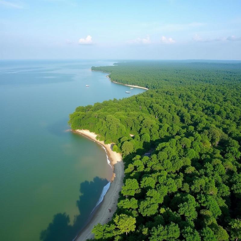 Sundarbans and Cox's Bazar