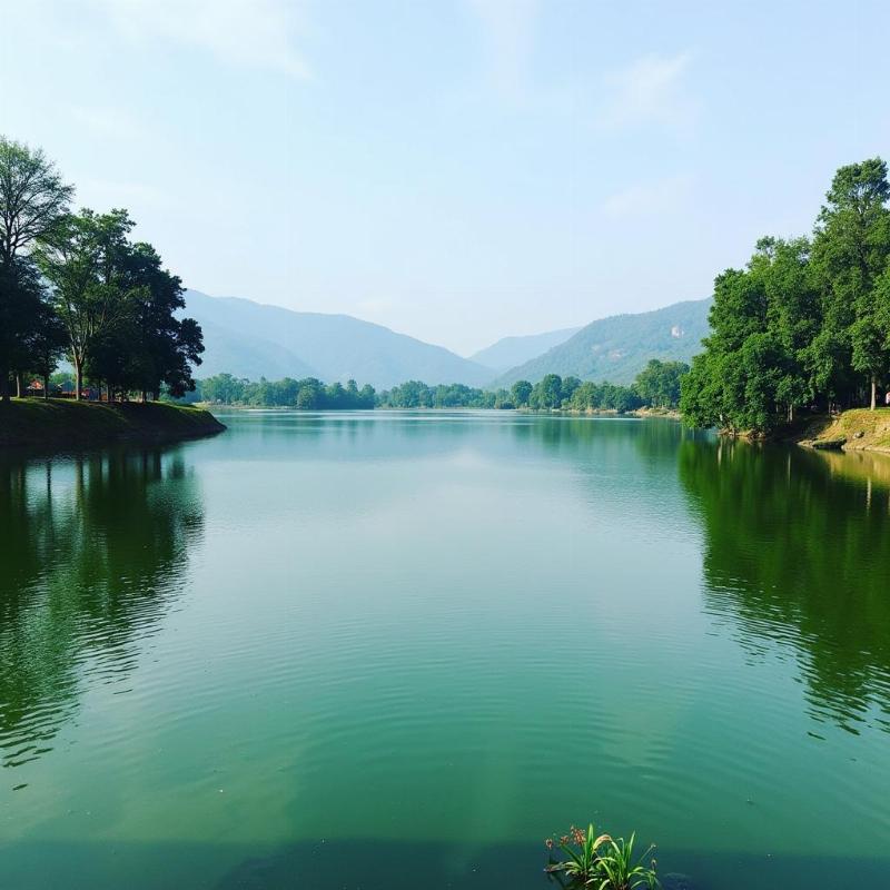 Serene Talao Pali Lake near Bhiwandi a peaceful nature escape