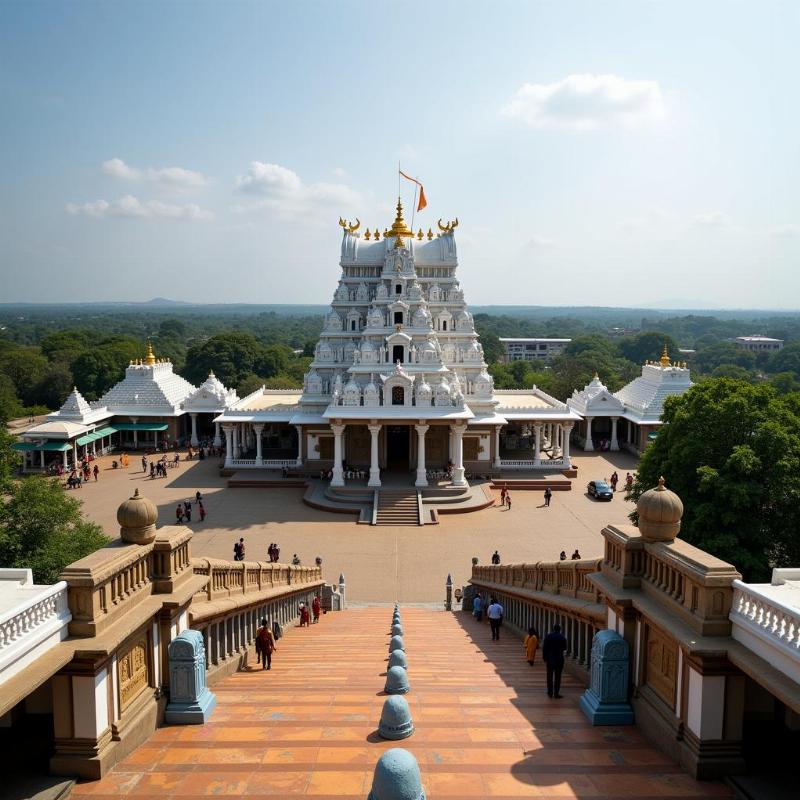 Tirupati Darshan Temple View