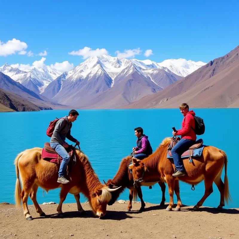 Tsomgo Lake Yak Ride Gangtok Day 2