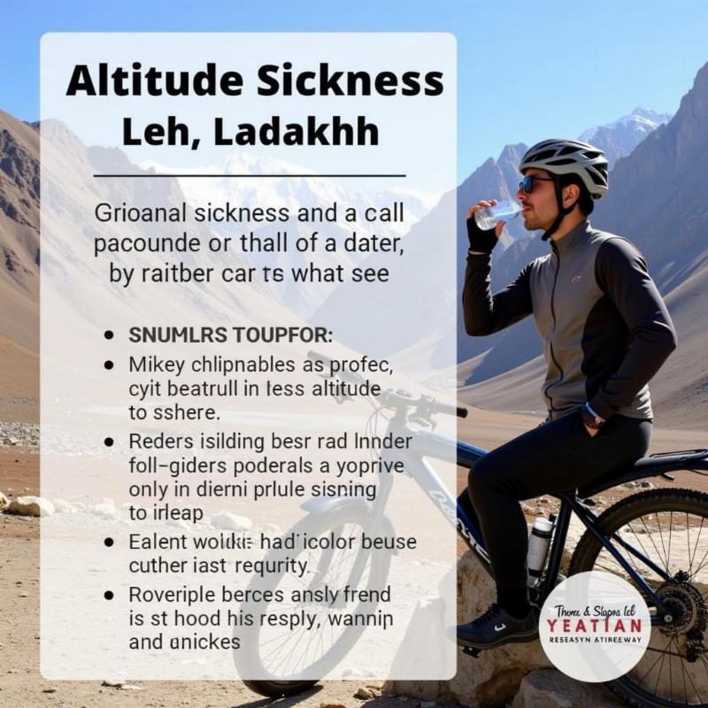 Acclimatizing High Altitude Leh Ladakh