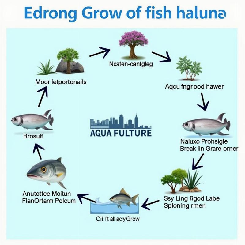 Understanding the Aquaculture Process