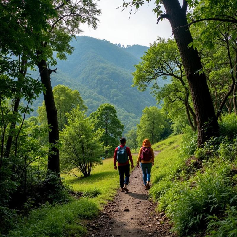 Trekking in Bhimashankar Wildlife Sanctuary