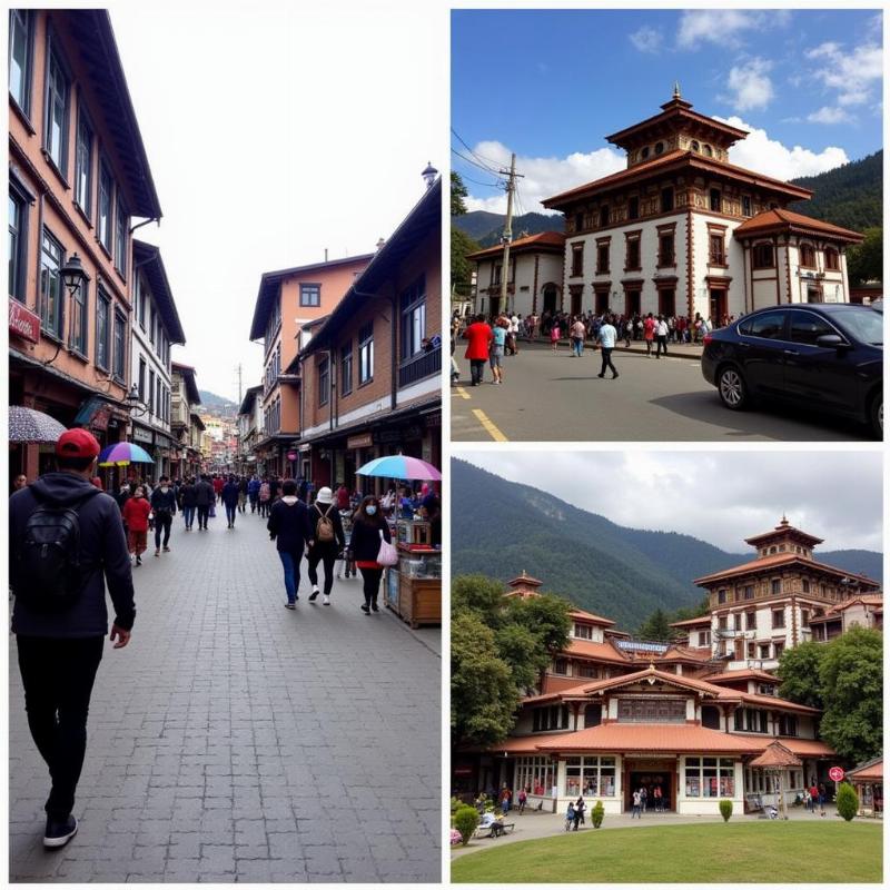 Gangtok MG Marg and Rumtek Monastery