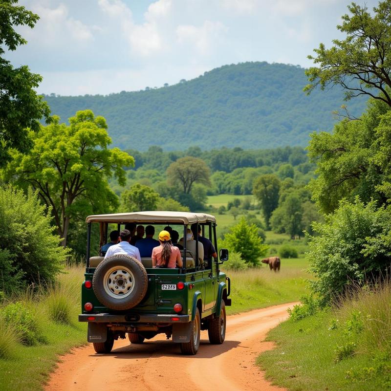 Gir National Park Safari Jeep