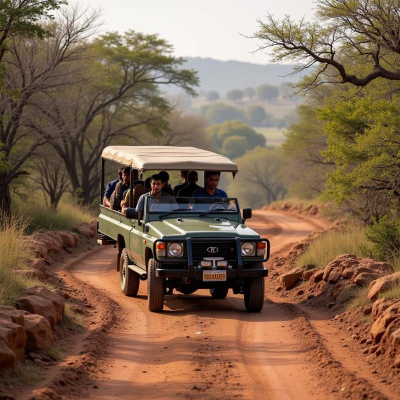 Gir National Park Safari Jeep