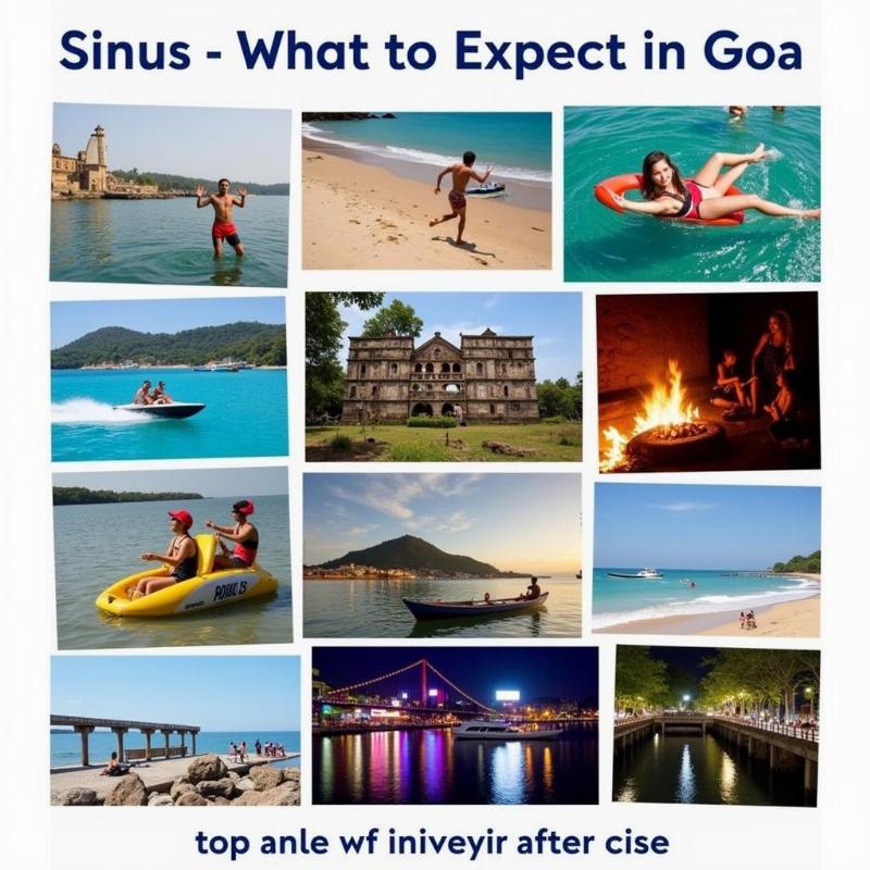 Things to Do in Goa After Your Cruise