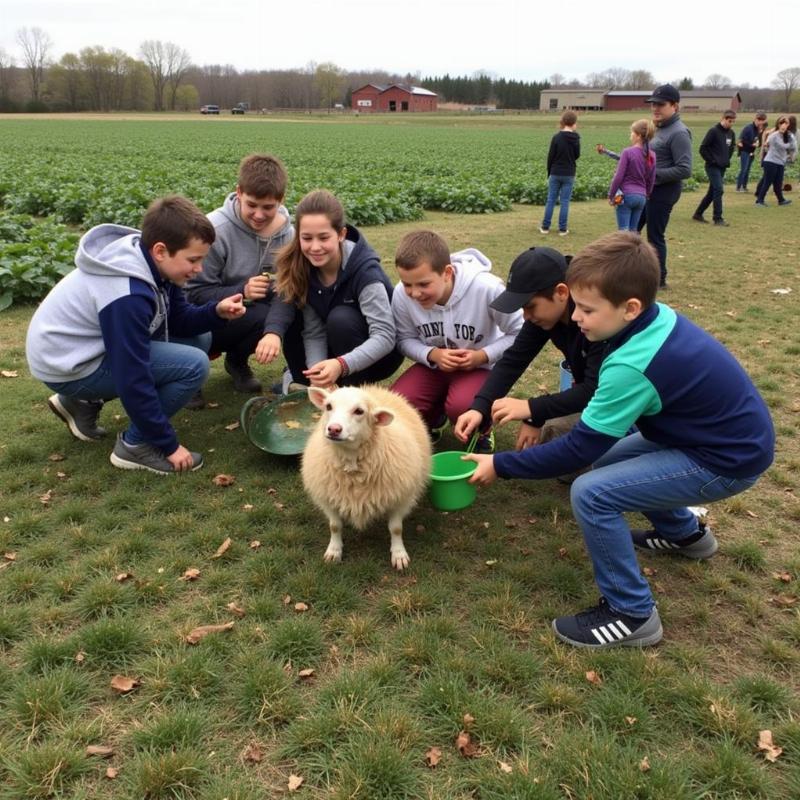 Students Visiting a Farm