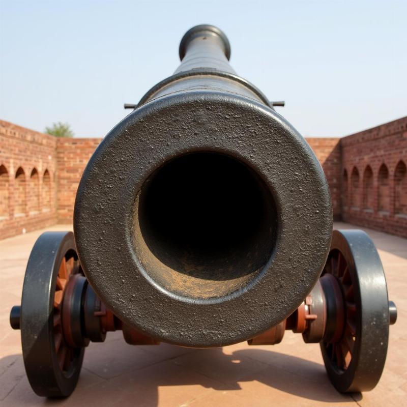 Jaigarh Fort Cannon - A historical marvel