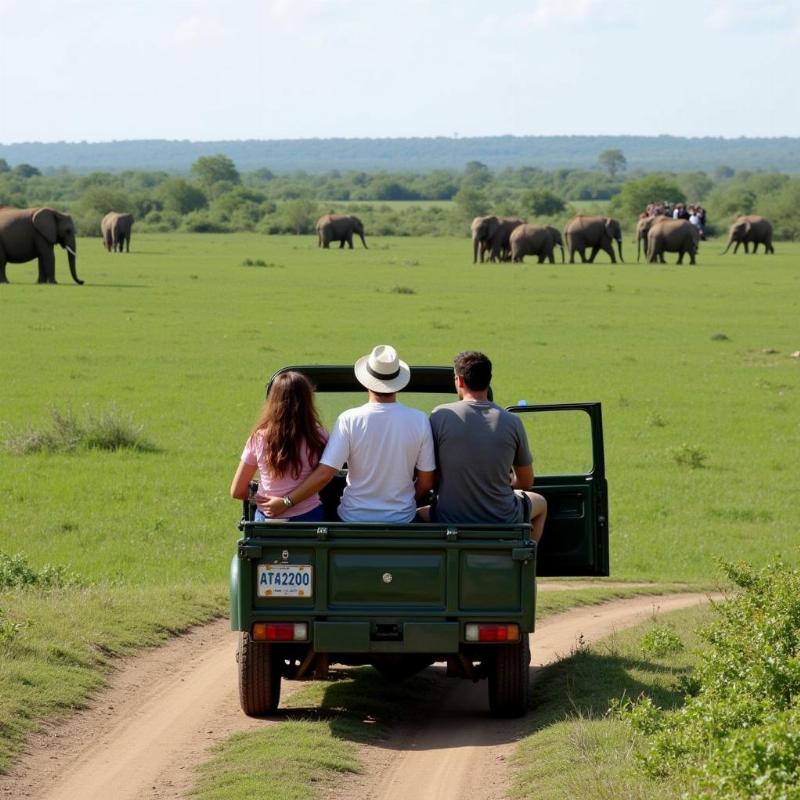 Kabini Wildlife Safari