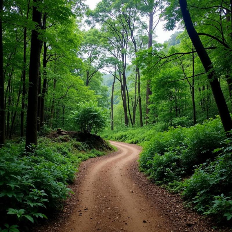 Trekking to Karkotaka Nag Temple in Bhimtal