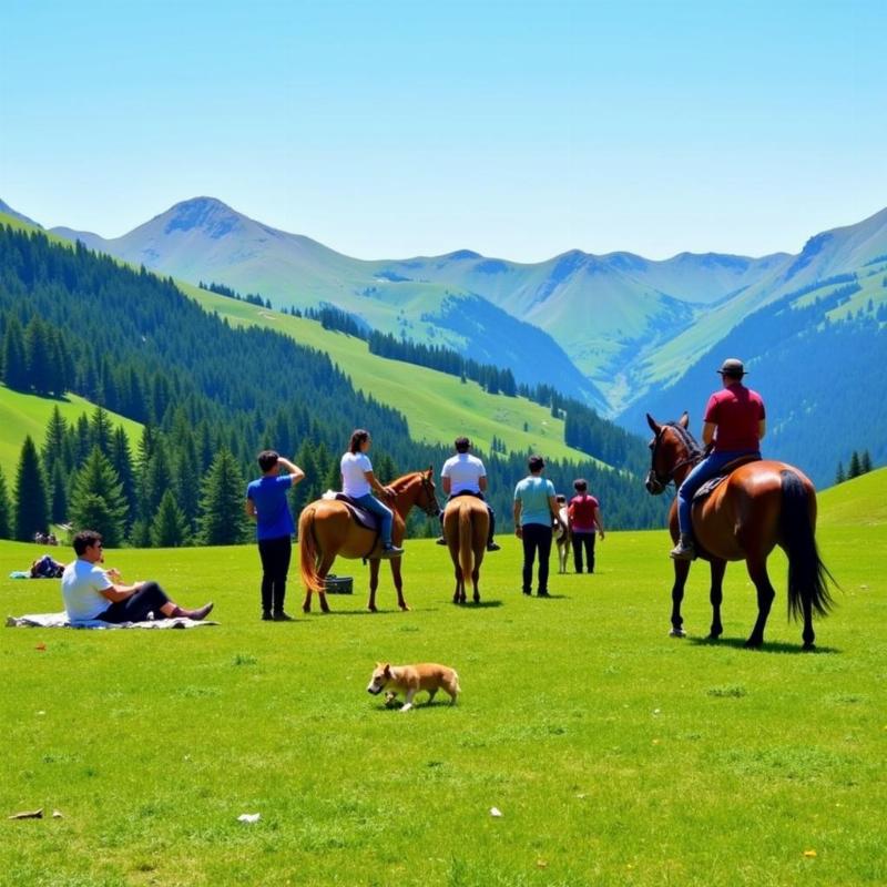 Tourists enjoying activities in Khajjiar meadow