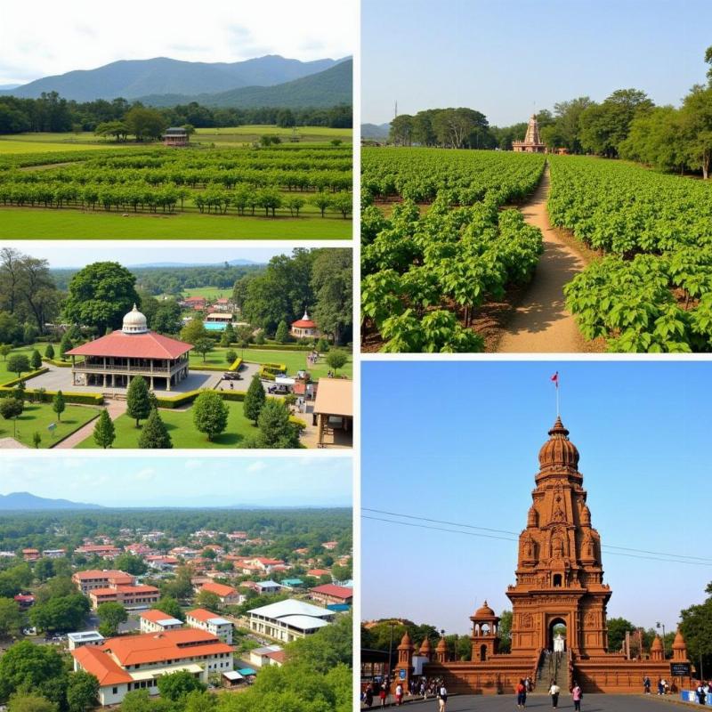 Exploring Attractions in Nashik