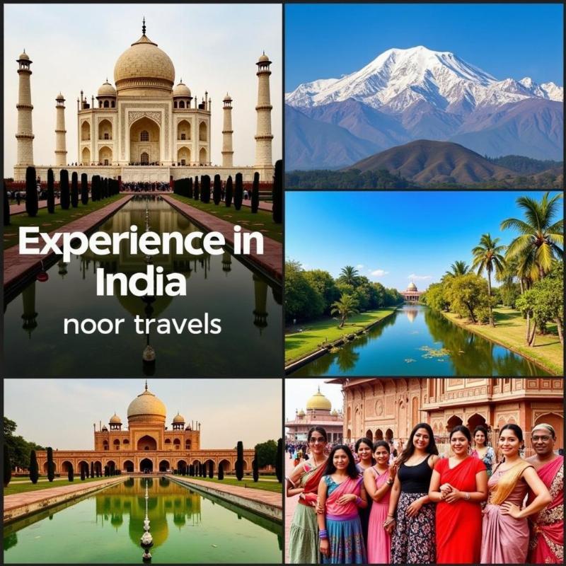 Noor Travels India Tour