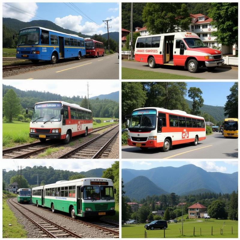 Transportation in Ooty and Kodaikanal