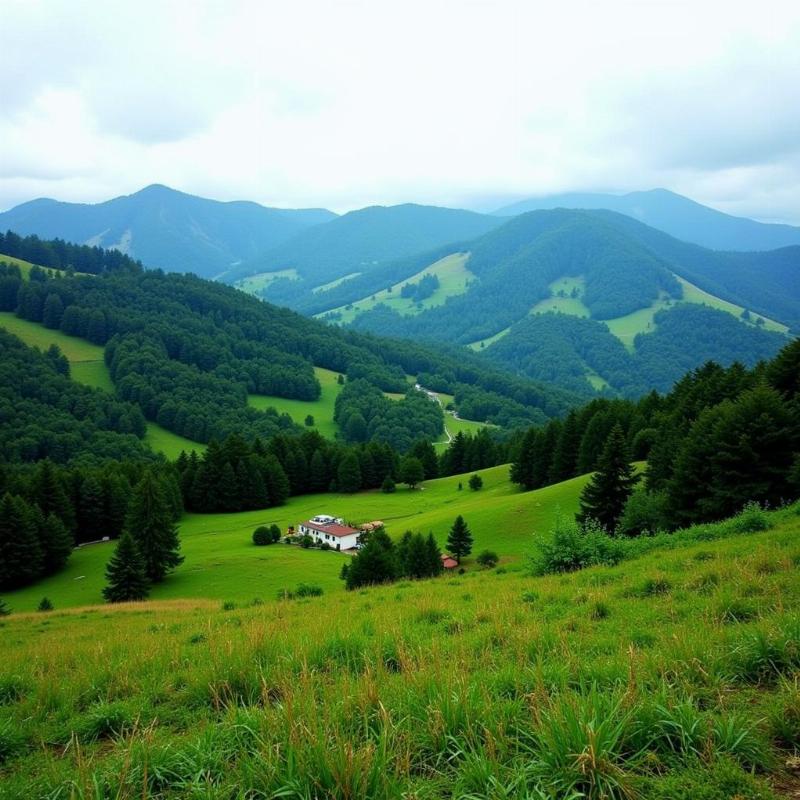 Scenic View of Patnitop Hill Station