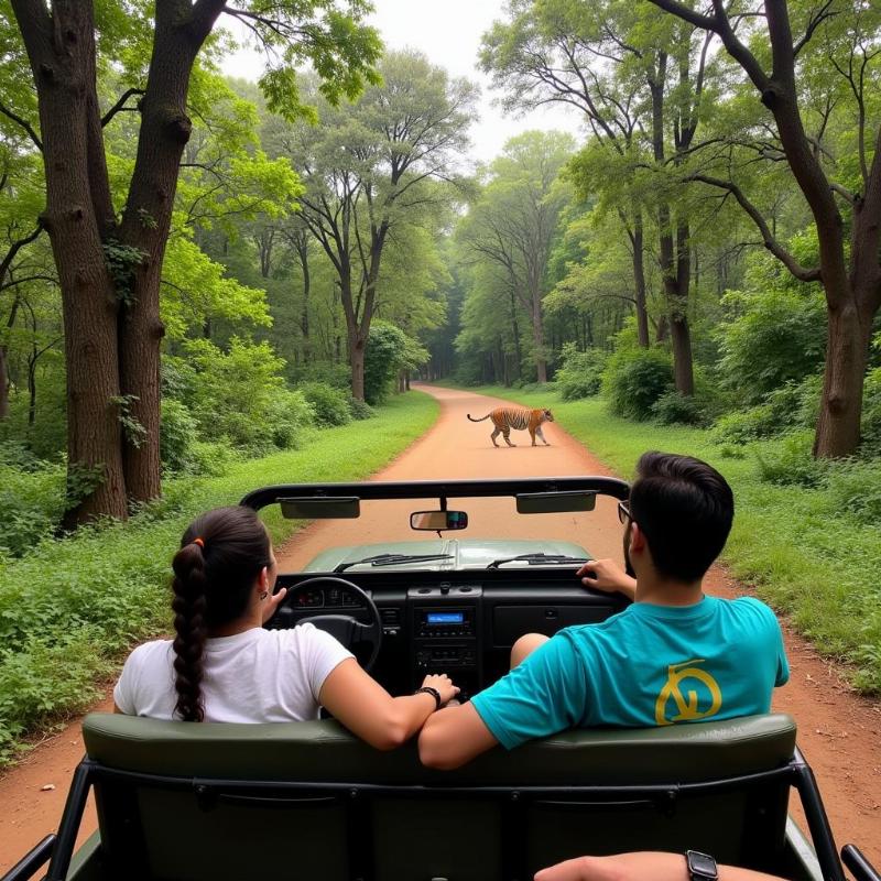 Pench National Park Wildlife Safari